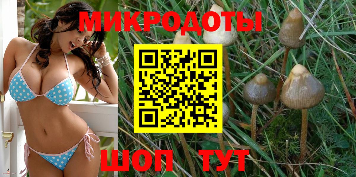Галлюциногенные грибы Magic Shrooms Дальнегорск