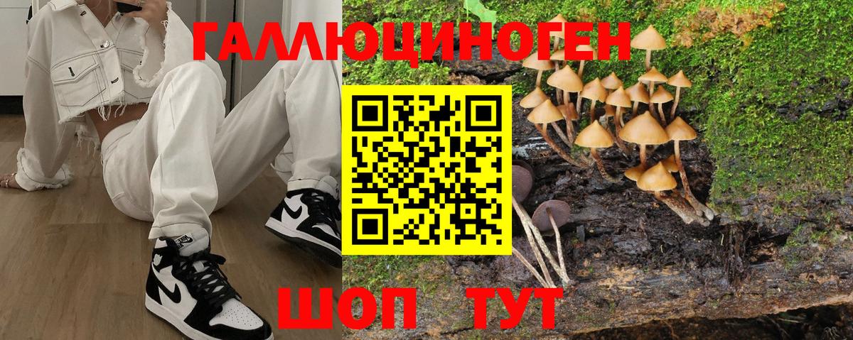Галлюциногенные грибы Cubensis  Галлюциногенные грибы Psilocybine cubensis  Вход с VPN  Дальнегорск 